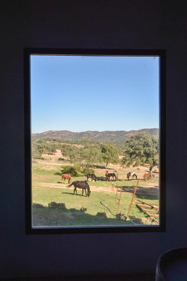 Finca Santa Maria De Las Canadas El Garrobo Eksteriør billede