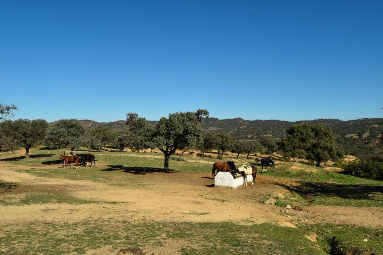 Finca Santa Maria De Las Canadas El Garrobo Eksteriør billede